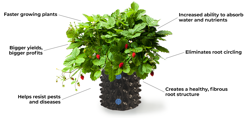 Oxygenated growth pots